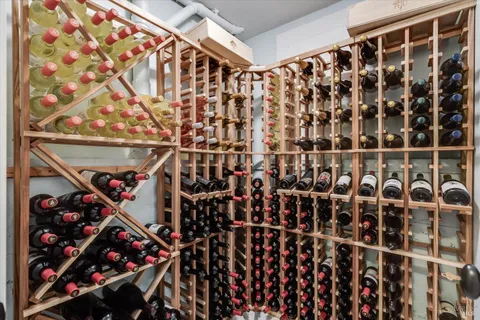 a living room with patio furniture and a potted plant