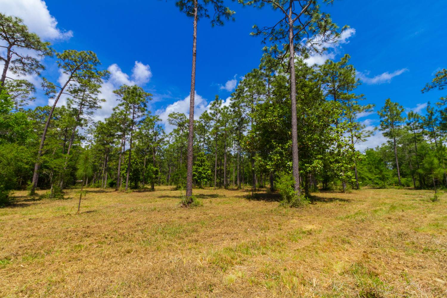 8844 Red Fish Pt Road Lillian, AL 36549 - Photo 11 of 16