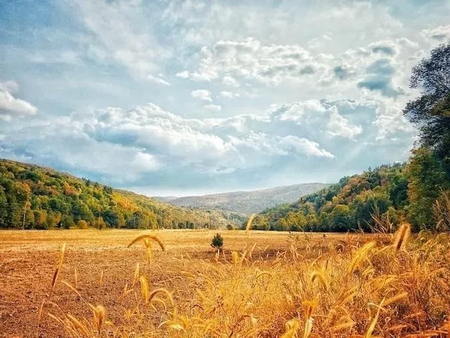 $980,000 | 1433 North 116 Road, Unit B, Bristol, VT 05443