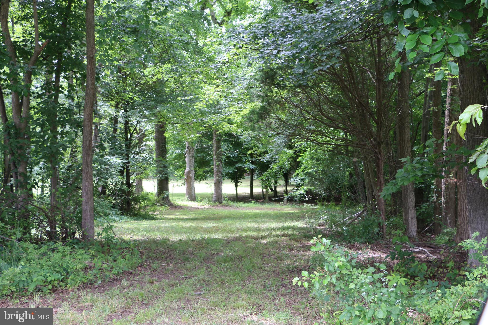 0 Stockington Road Woodstown, NJ 08098 - Photo 8 of 13