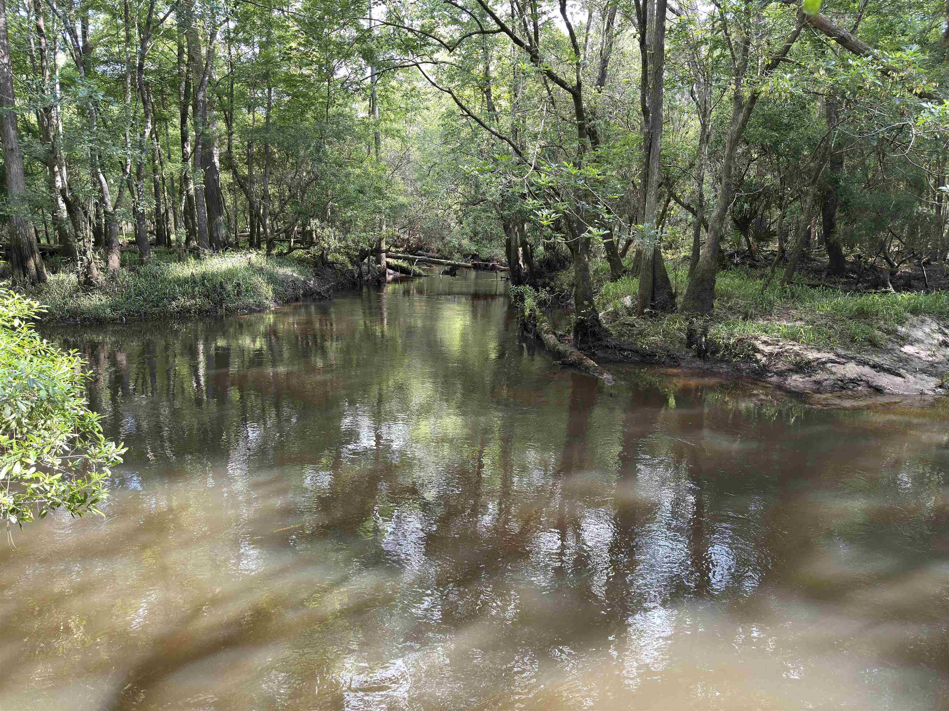 87 County Road 87 Elberta, AL 36530 - Photo 5 of 66