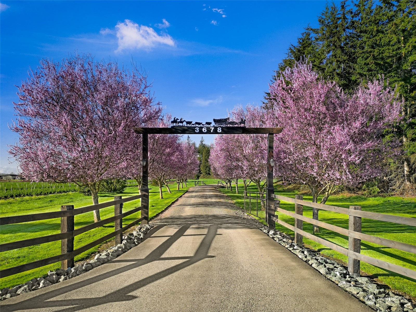 3678 Osgood Road Everson, WA 98247 - Photo 3 of 40 a view of a pathway with a park