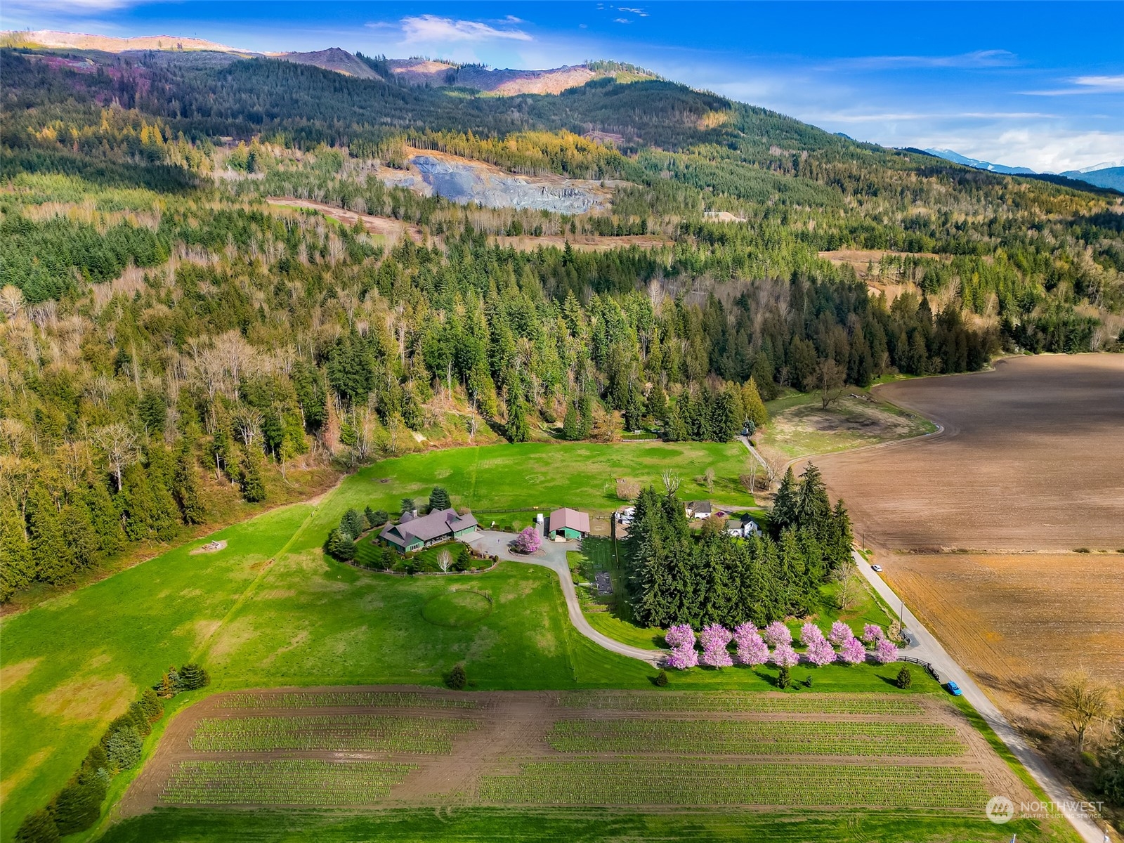 3678 Osgood Road Everson, WA 98247 - Photo 39 of 40 a view of a town with mountains in the background