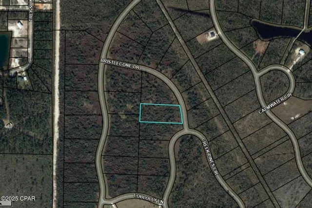 $40,000 | 110 Bristlecone Drive, Wewahitchka, FL 32465