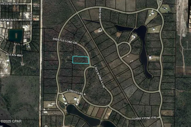 $40,000 | 110 Bristlecone Drive, Wewahitchka, FL 32465