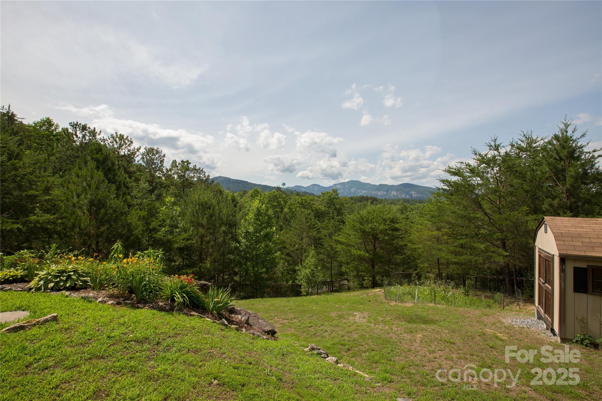 206 Legend Dr Mill Spring Mill Spring, NC 28756 - Photo 19 of 48 a view of an outdoor space and yard