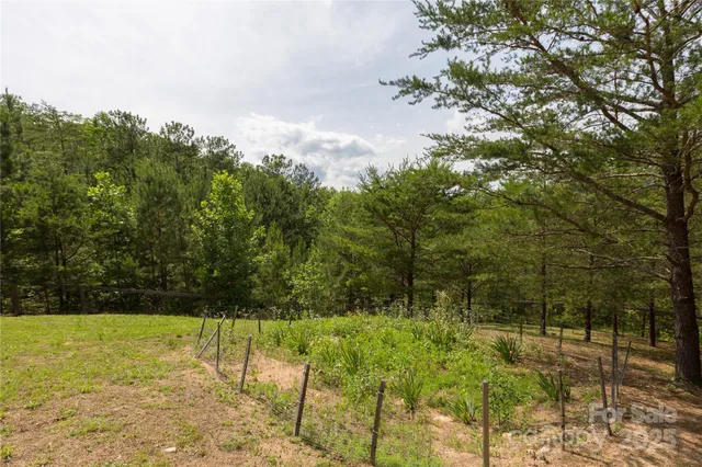 an aerial view of houses covered in trees