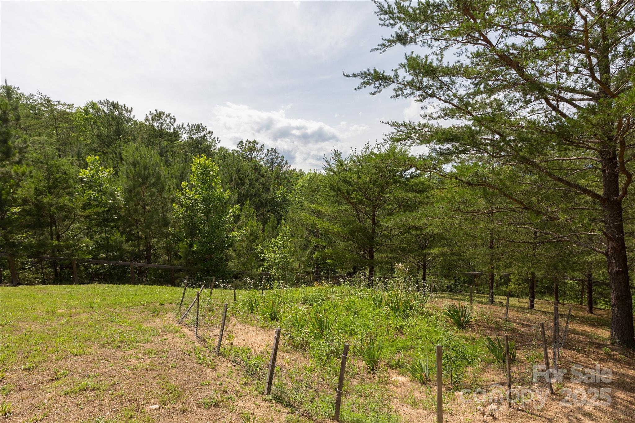 206 Legend Dr Mill Spring Mill Spring, NC 28756 - Photo 25 of 48