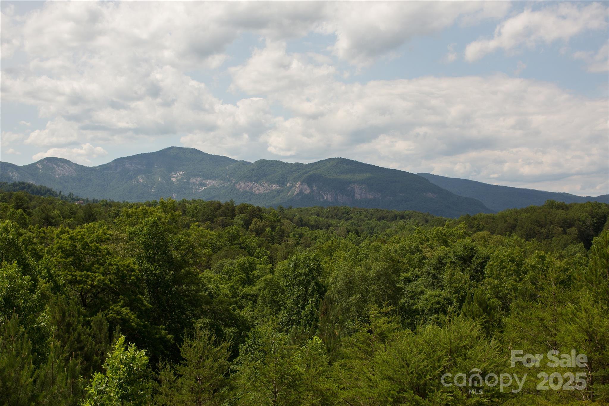206 Legend Dr Mill Spring Mill Spring, NC 28756 - Photo 26 of 48 an aerial view of houses covered in trees