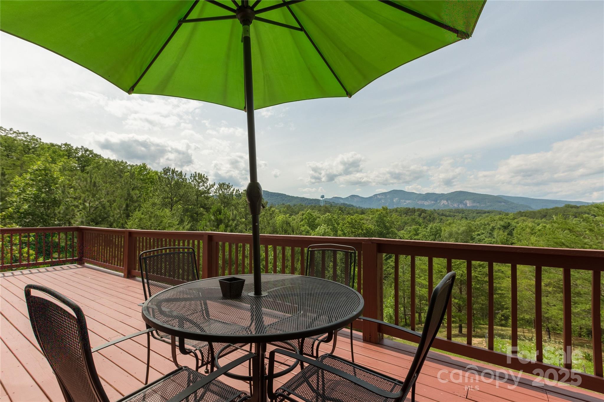 206 Legend Dr Mill Spring Mill Spring, NC 28756 - Photo 40 of 48