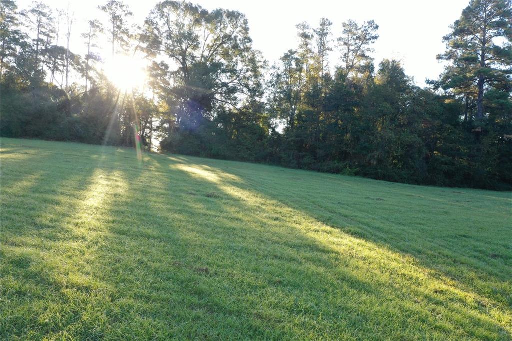 0 Fairborn Road Mount Hermon, LA 70450 - Photo 12 of 56 Gallery Image 12