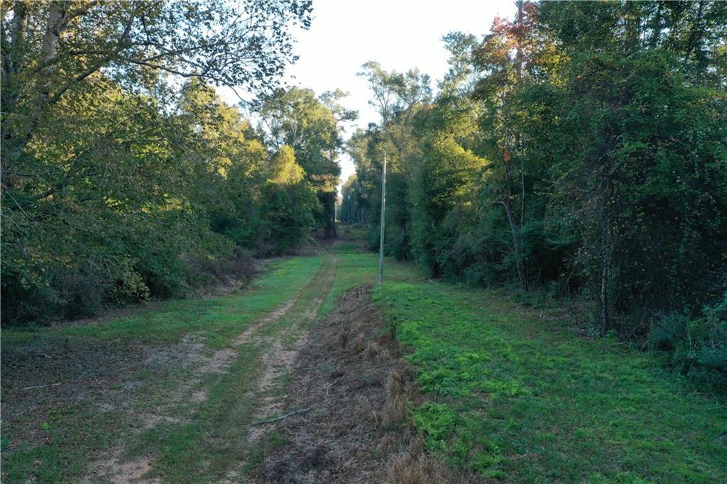 0 Fairborn Road Mount Hermon, LA 70450 - Photo 13 of 56 Gallery Image 13