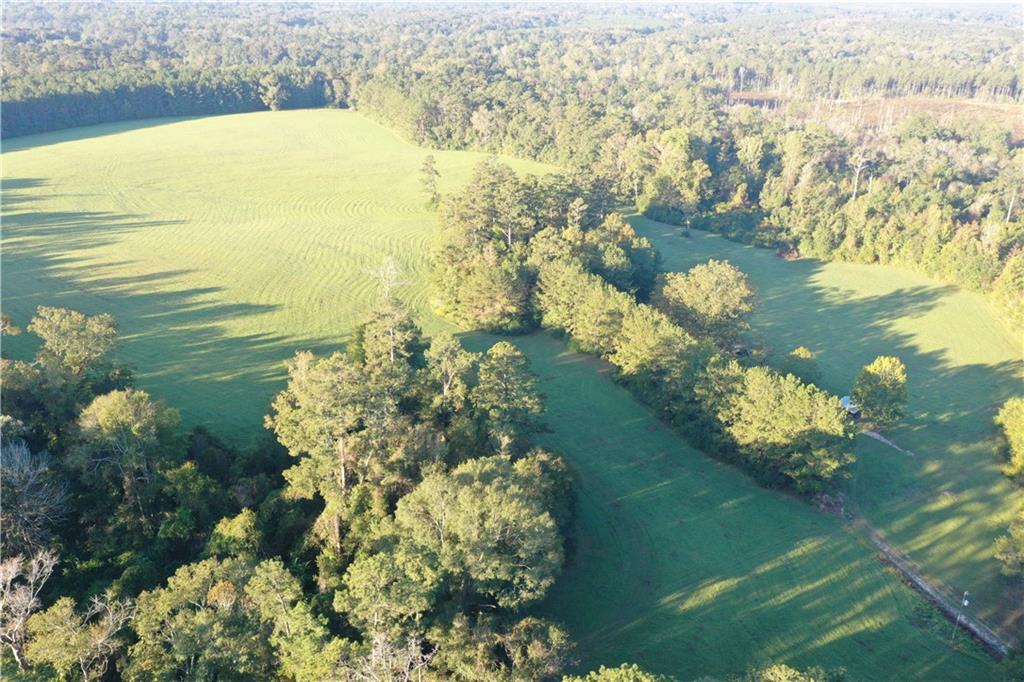 0 Fairborn Road Mount Hermon, LA 70450 - Photo 15 of 56 Gallery Image 15