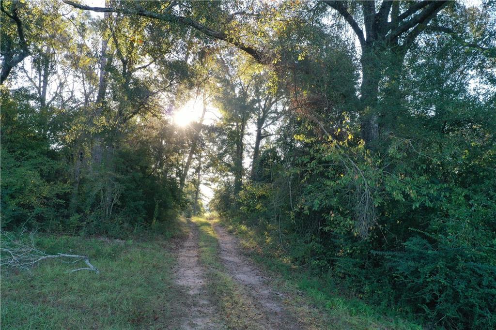 0 Fairborn Road Mount Hermon, LA 70450 - Photo 22 of 56 Gallery Image 22
