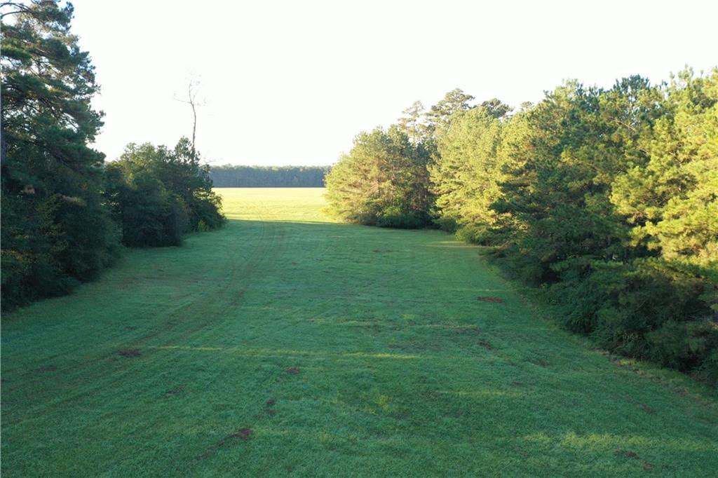 0 Fairborn Road Mount Hermon, LA 70450 - Photo 23 of 56 Gallery Image 23