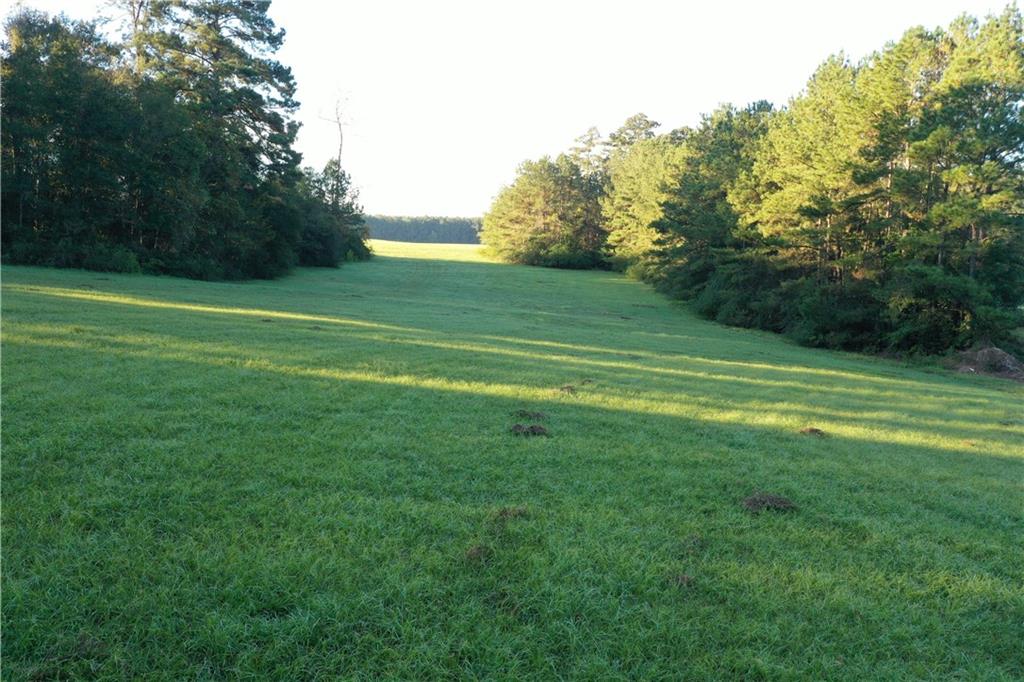 0 Fairborn Road Mount Hermon, LA 70450 - Photo 24 of 56 Gallery Image 24