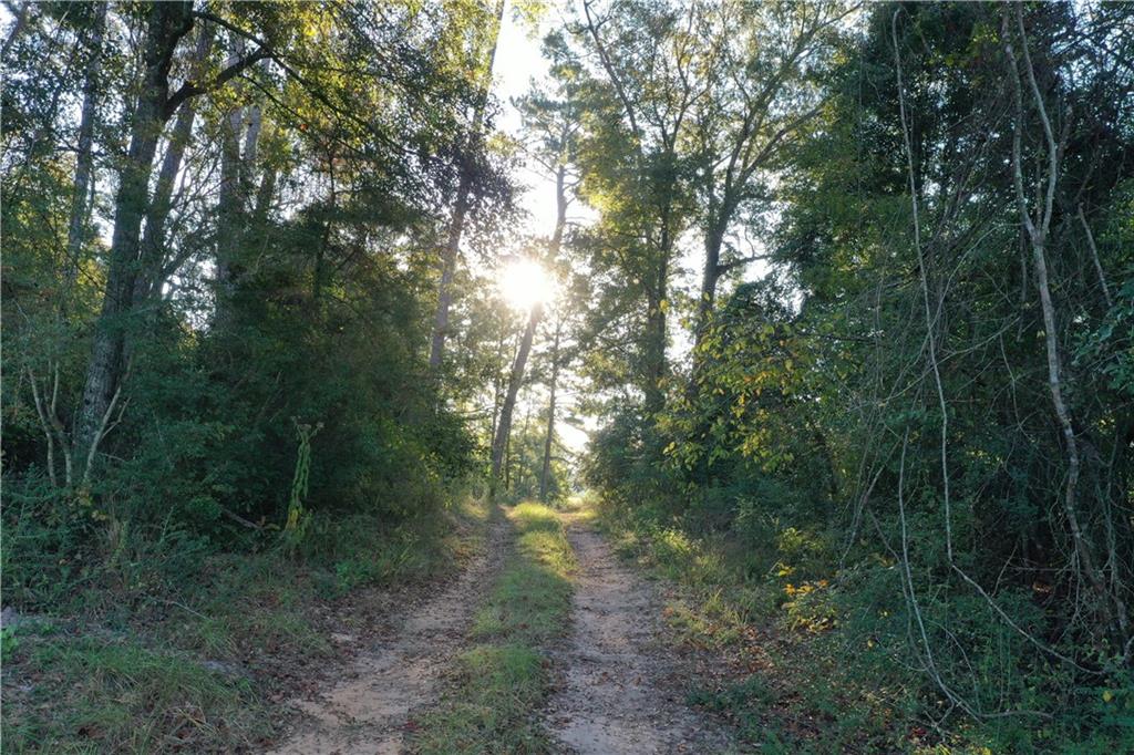 0 Fairborn Road Mount Hermon, LA 70450 - Photo 25 of 56 Gallery Image 25