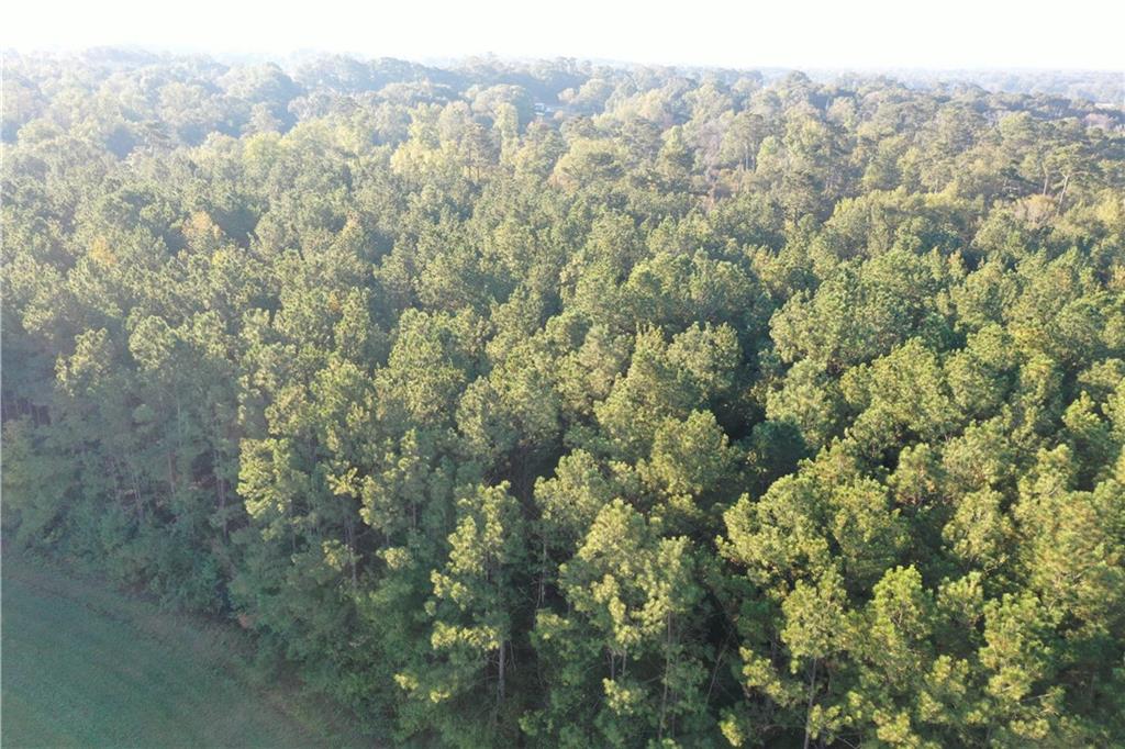 0 Fairborn Road Mount Hermon, LA 70450 - Photo 26 of 56 Gallery Image 26