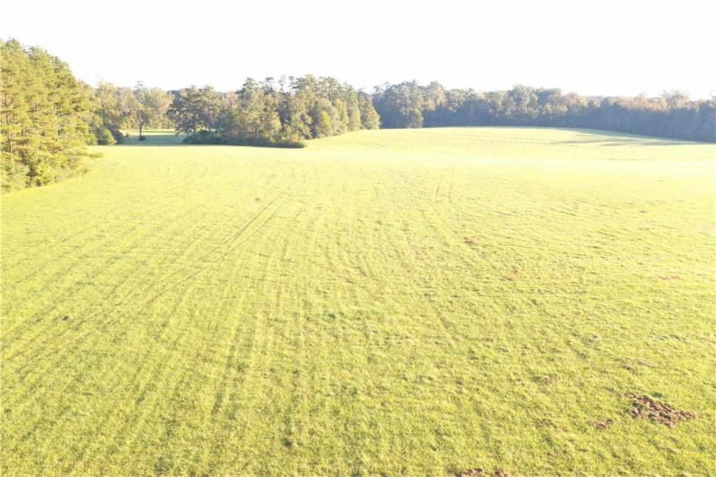 0 Fairborn Road Mount Hermon, LA 70450 - Photo 31 of 56 Gallery Image 31