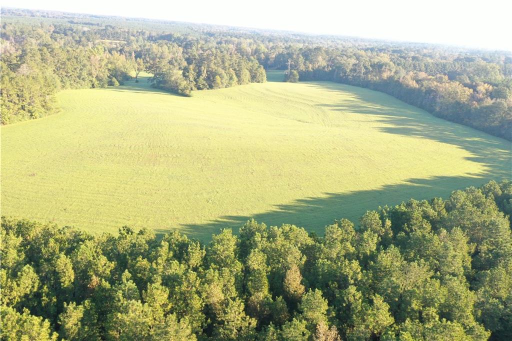 0 Fairborn Road Mount Hermon, LA 70450 - Photo 32 of 56 Gallery Image 32