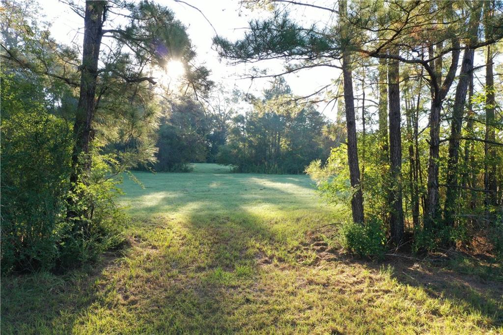 0 Fairborn Road Mount Hermon, LA 70450 - Photo 34 of 56 Gallery Image 34