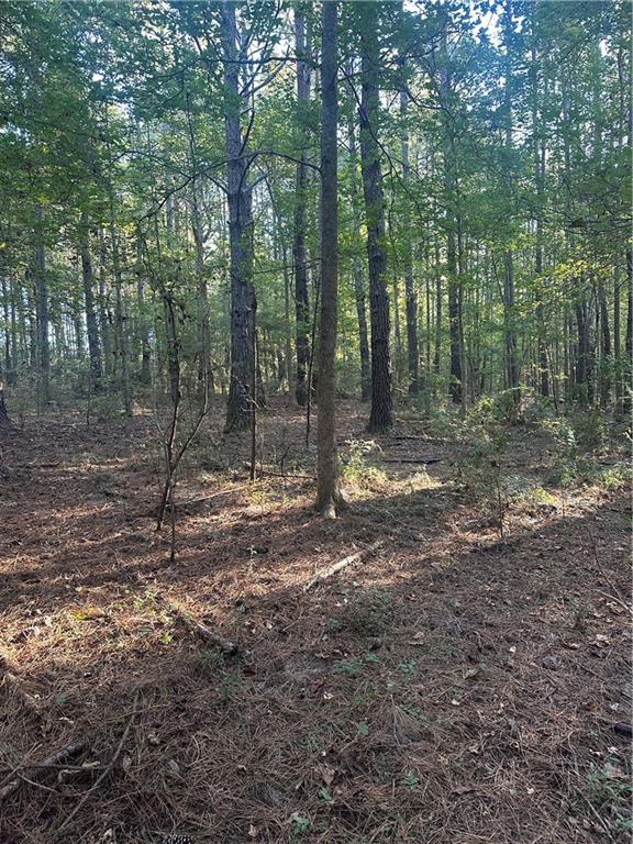 0 Fairborn Road Mount Hermon, LA 70450 - Photo 42 of 56 Gallery Image 42