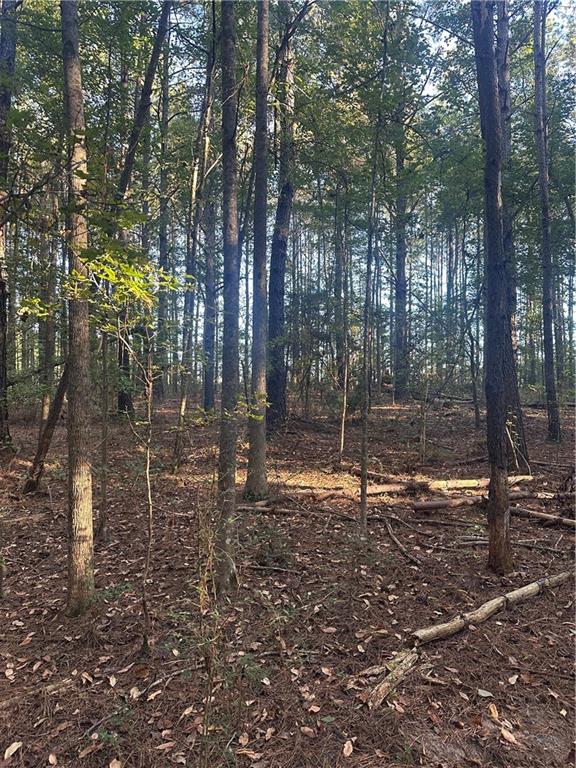 0 Fairborn Road Mount Hermon, LA 70450 - Photo 43 of 56 Gallery Image 43