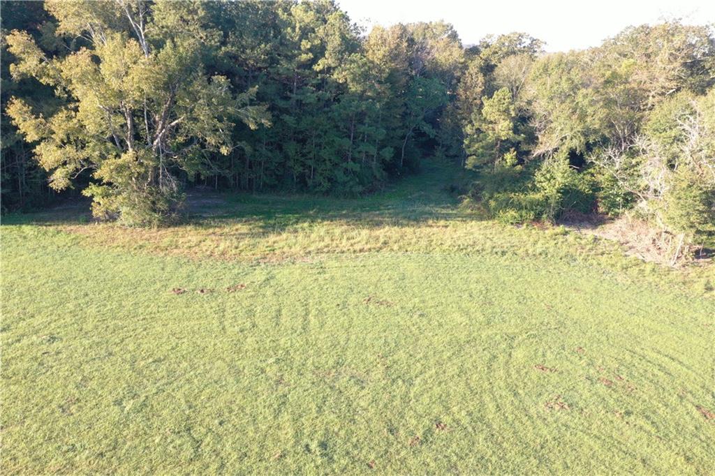 0 Fairborn Road Mount Hermon, LA 70450 - Photo 45 of 56 Gallery Image 45