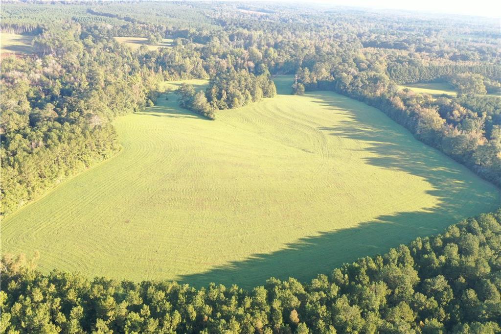 0 Fairborn Road Mount Hermon, LA 70450 - Photo 46 of 56 Gallery Image 46