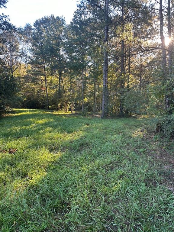 0 Fairborn Road Mount Hermon, LA 70450 - Photo 47 of 56 Gallery Image 47
