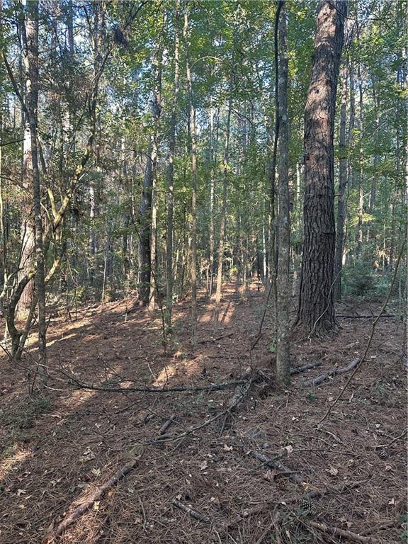 0 Fairborn Road Mount Hermon, LA 70450 - Photo 51 of 56 Gallery Image 51