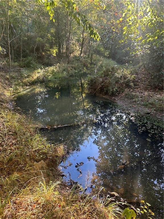 0 Fairborn Road Mount Hermon, LA 70450 - Photo 55 of 56 Gallery Image 55