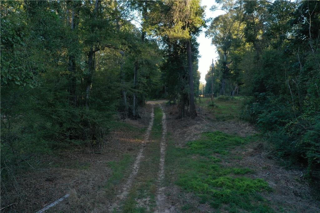 0 Fairborn Road Mount Hermon, LA 70450 - Photo 8 of 56 Gallery Image 8