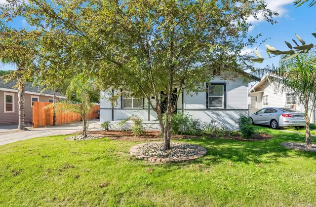 a backyard of a house with plants and large tree