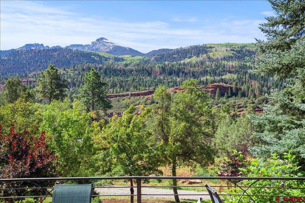 295 Red Stone Road Ridgway, CO 81432 - Photo 27 of 35 Gallery Image 27