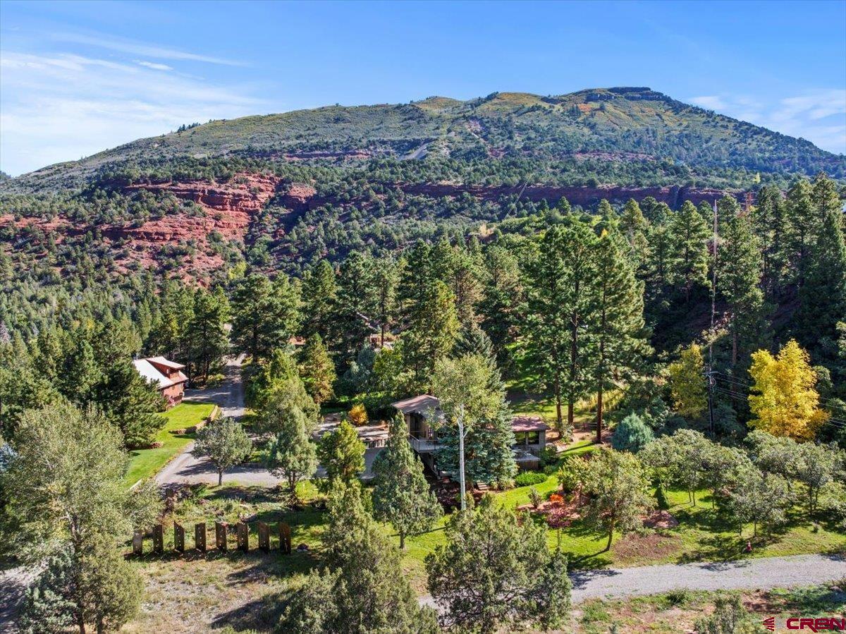 295 Red Stone Road Ridgway, CO 81432 - Photo 33 of 35 Gallery Image 33