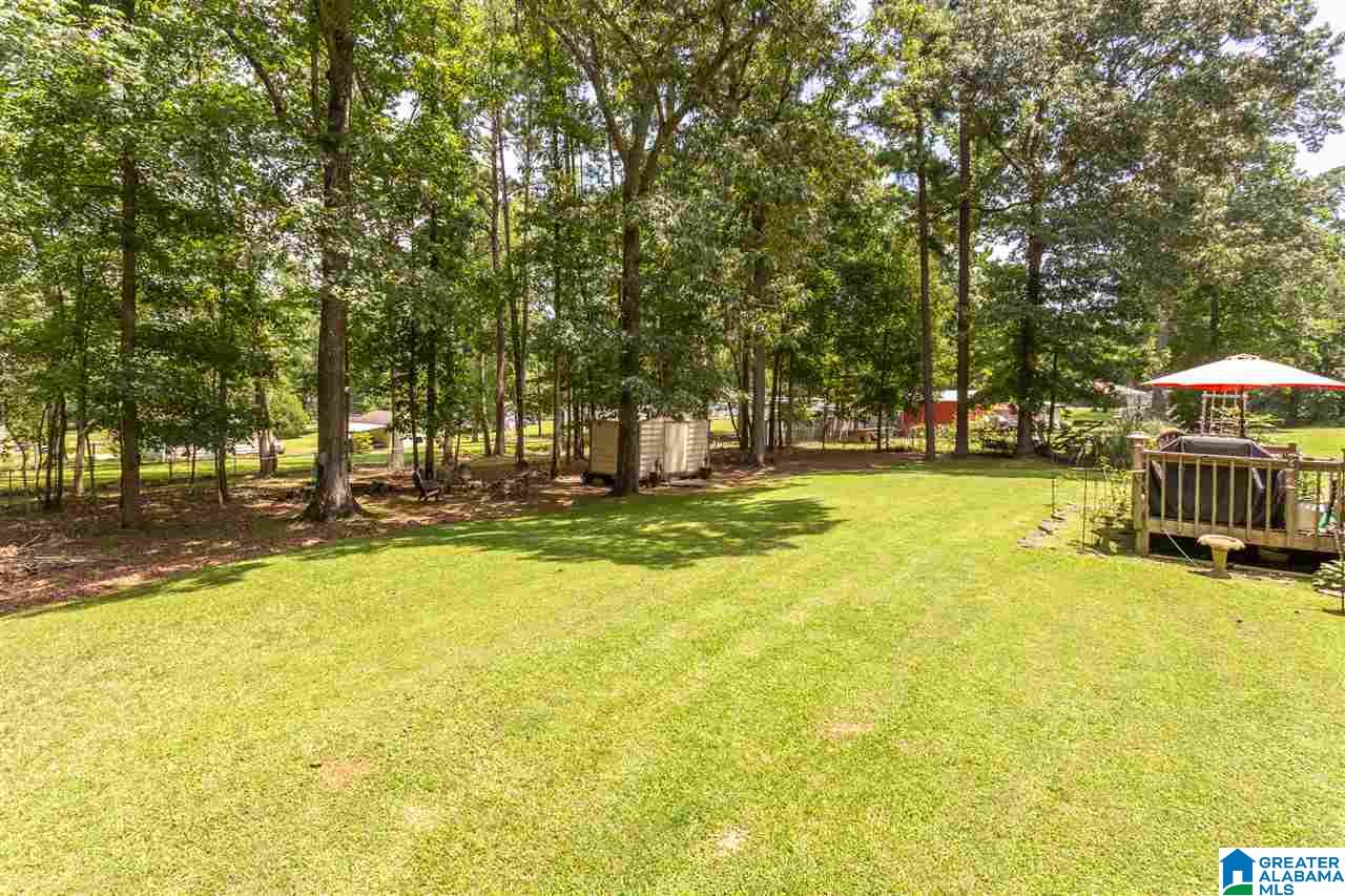 172 Cheyenne Street Leeds, AL 35094 - Photo 37 of 39