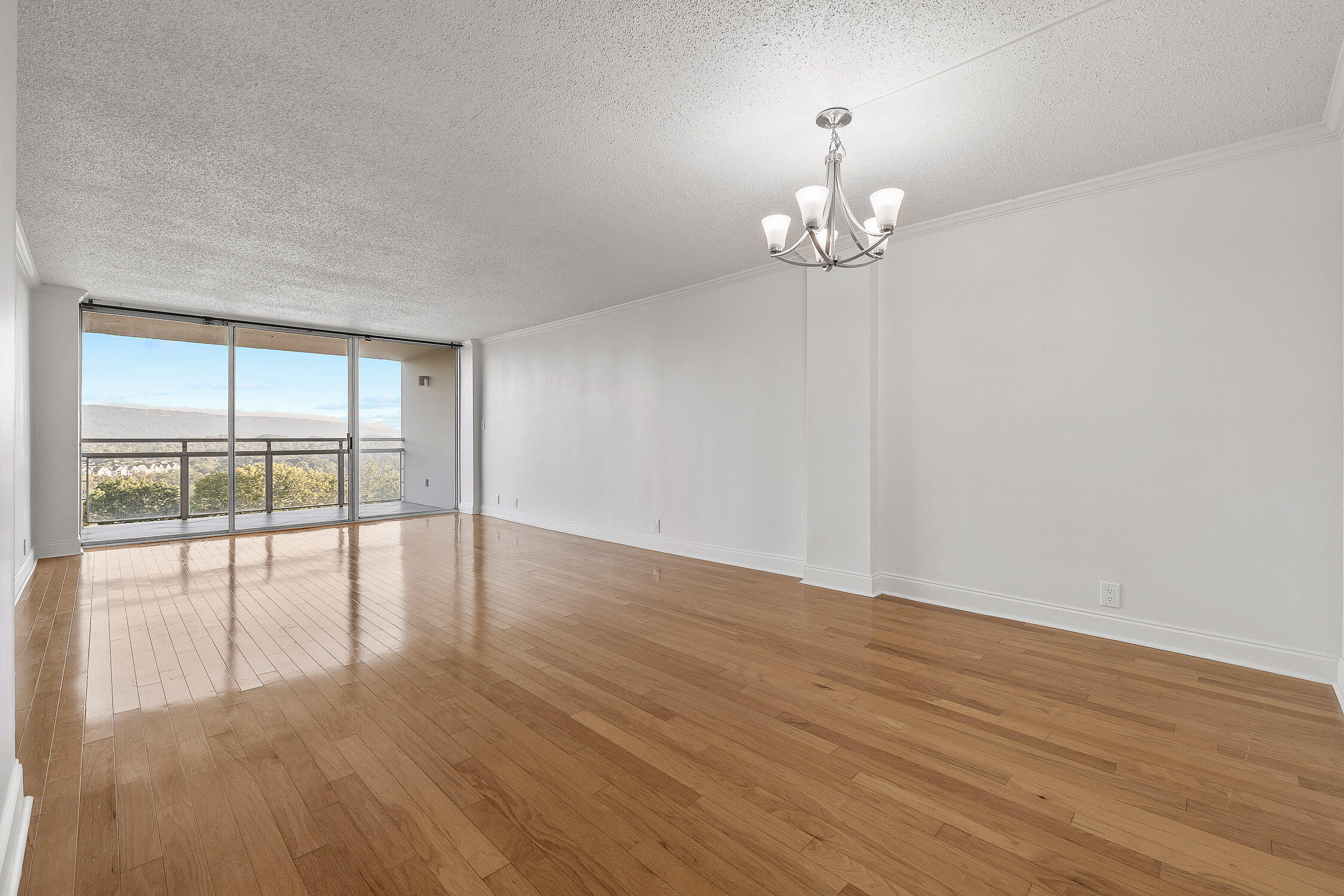1131 Stringers Ridge Road, Unit 7A Chattanooga, TN 37405 - Photo 10 of 39 Pinnacle-3