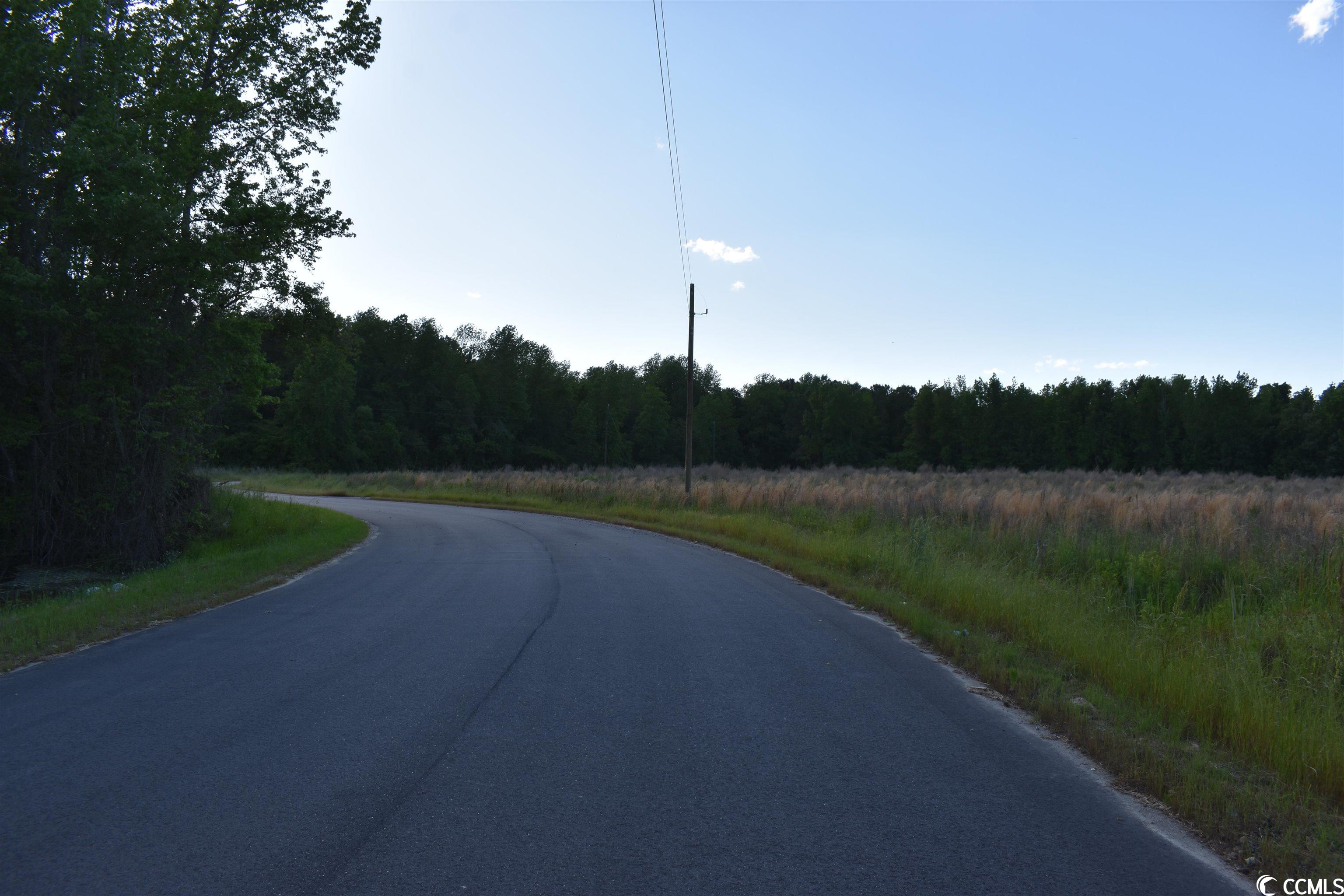 Tbd Jamie Road Aynor, SC 29544 - Photo 11 of 11 Gallery Image 11