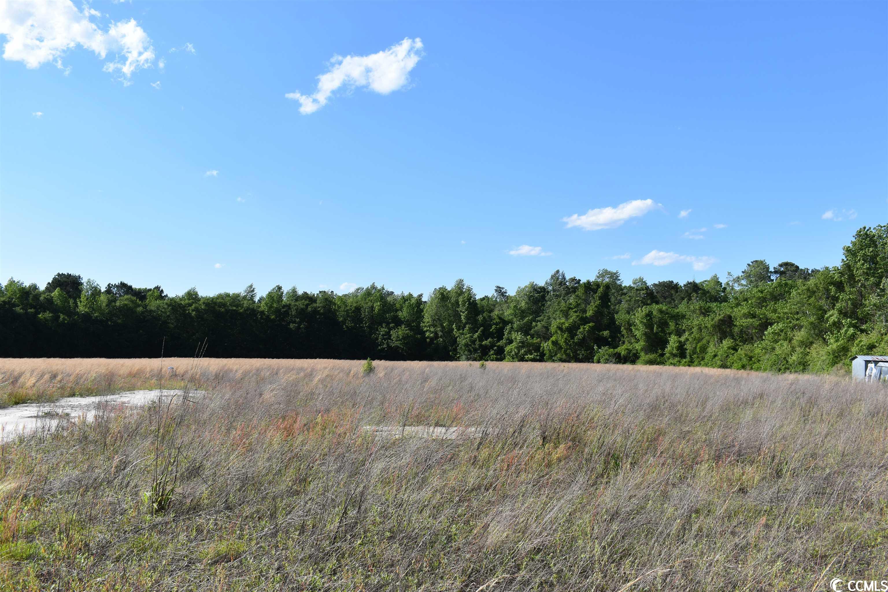 Tbd Jamie Road Aynor, SC 29544 - Photo 2 of 11 Gallery Image 2
