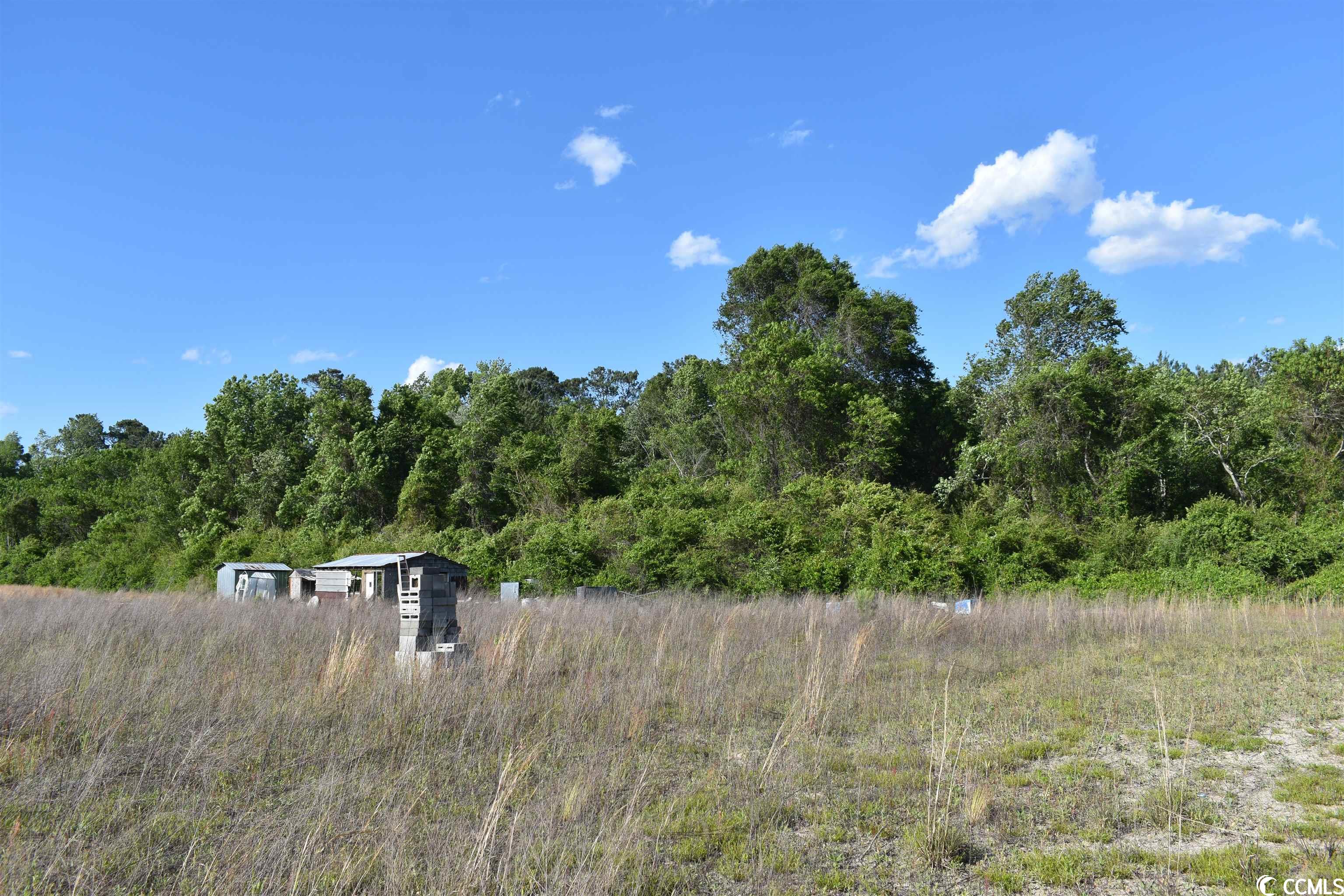 Tbd Jamie Road Aynor, SC 29544 - Photo 3 of 11 Gallery Image 3