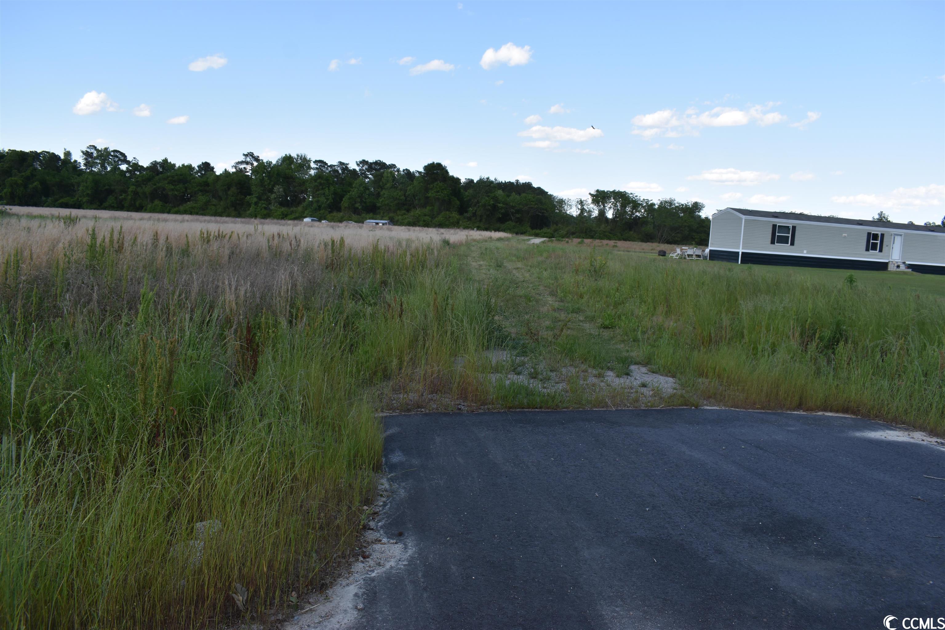 Tbd Jamie Road Aynor, SC 29544 - Photo 8 of 11 Gallery Image 8