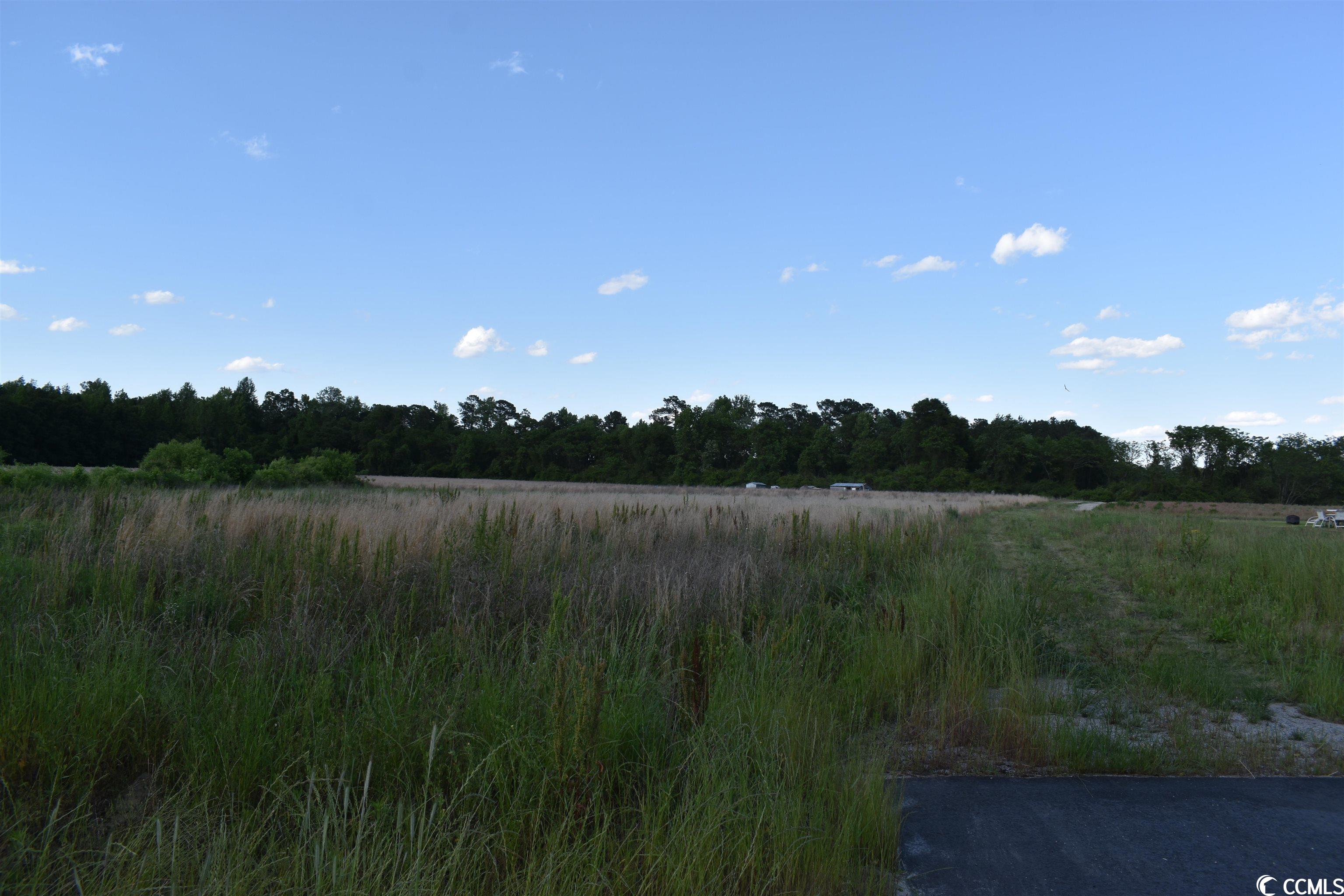 Tbd Jamie Road Aynor, SC 29544 - Photo 9 of 11 Gallery Image 9