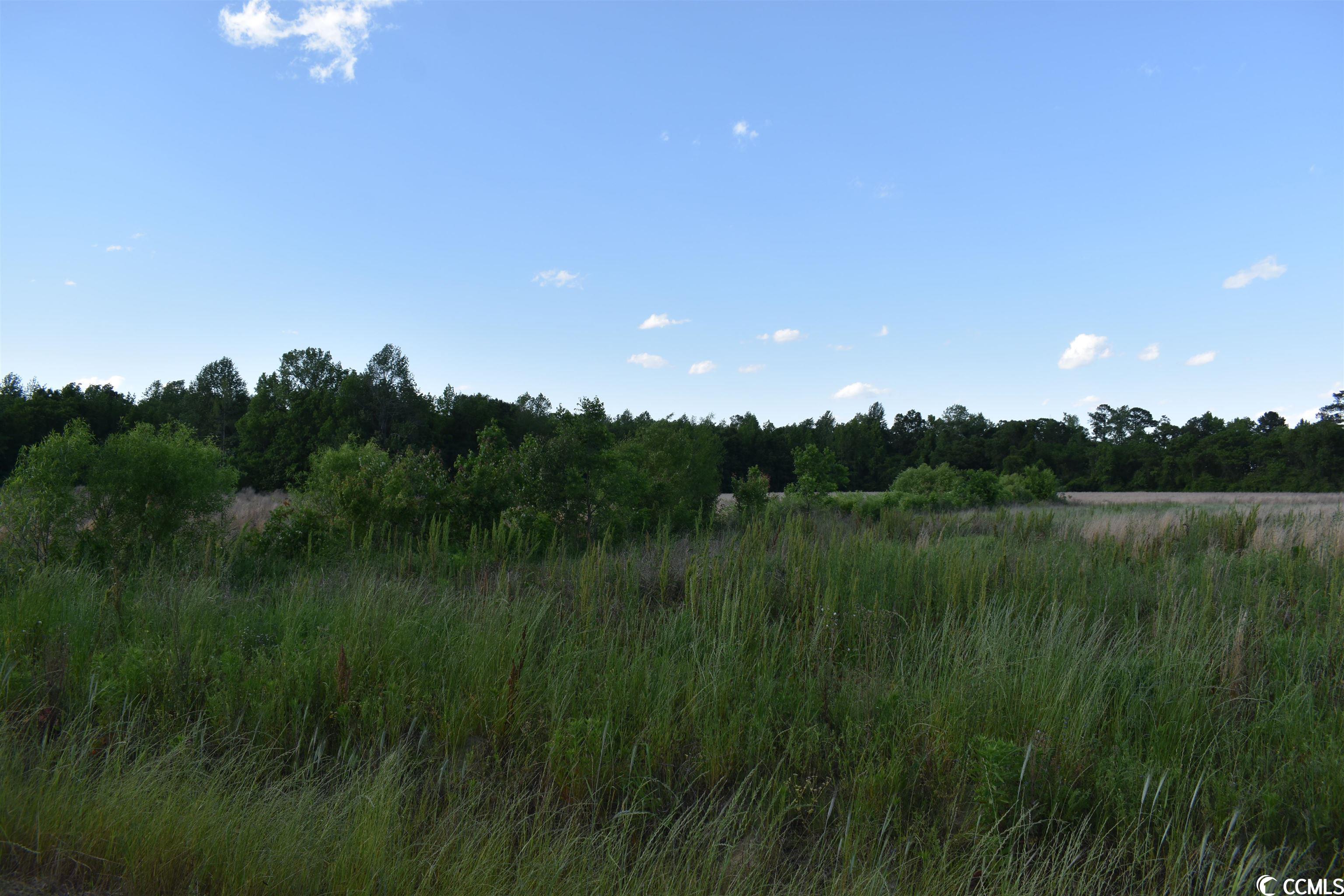 Tbd Jamie Road Aynor, SC 29544 - Photo 10 of 11 Gallery Image 10