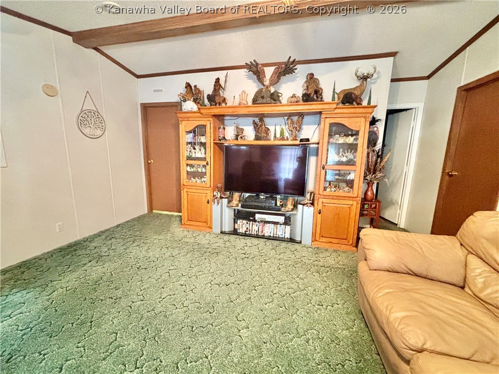 7203 Statts Mills Road Ripley, WV 25271 - Photo 11 of 46 Gallery Image 11