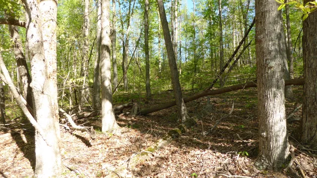 $24,950 | Tract 9 Dusty Lane, Martinsville, VA 24112