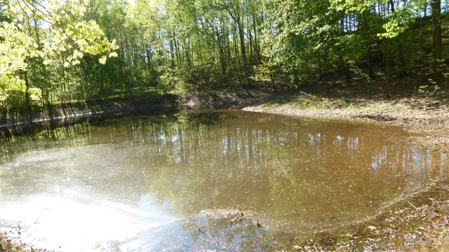 $24,950 | Tract 9 Dusty Lane, Martinsville, VA 24112