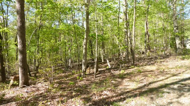 $24,950 | Tract 9 Dusty Lane, Martinsville, VA 24112