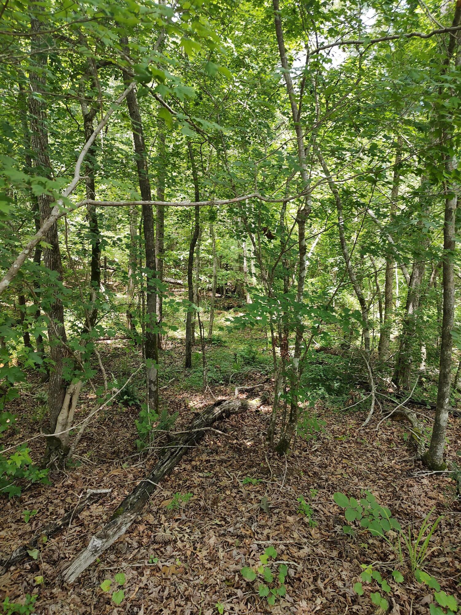 576 Red Hill Road Edgefield, SC 29824 - Photo 24 of 30