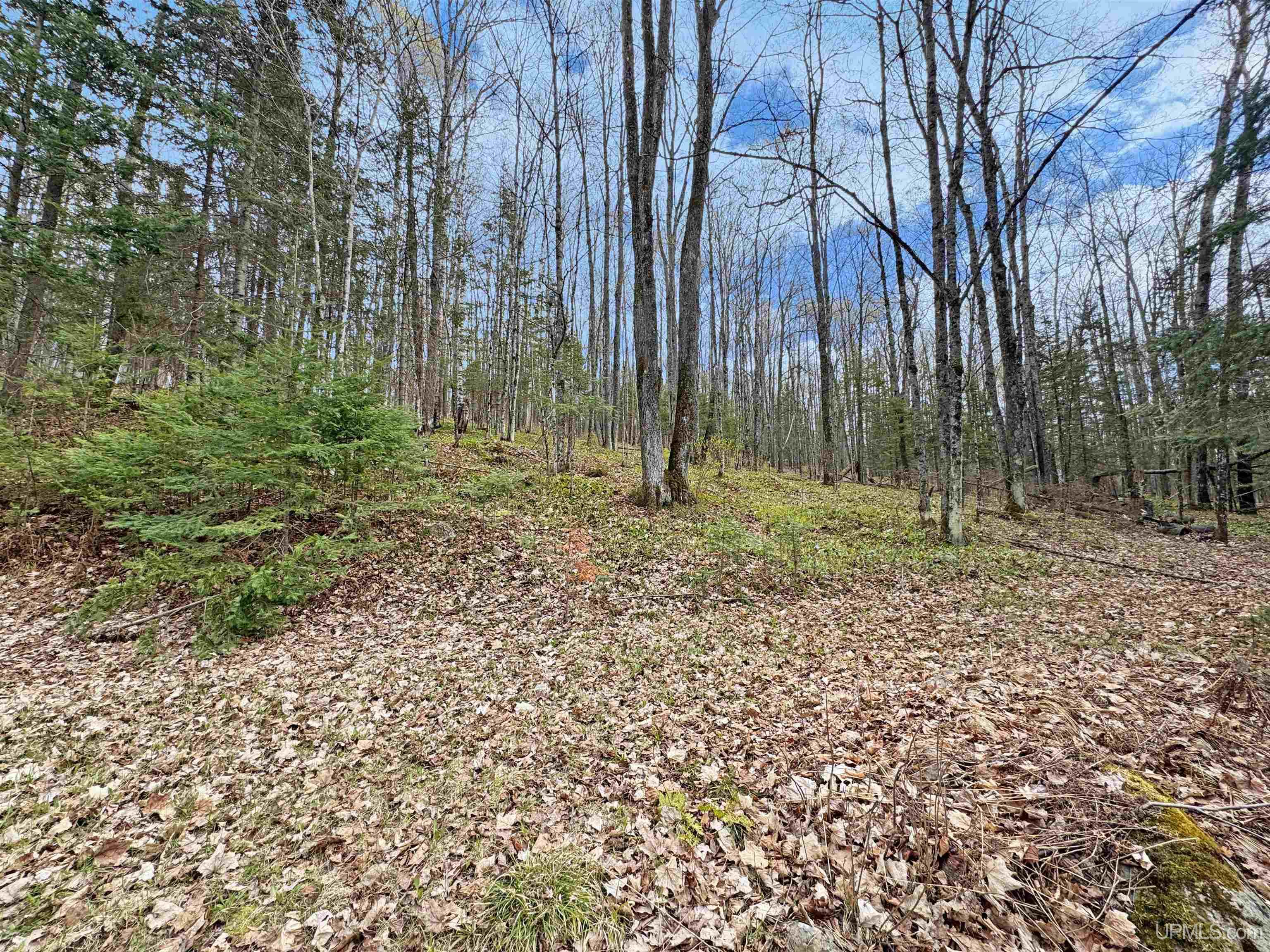 176 East Lake Emily Road Crystal Falls, MI 49920 - Photo 6 of 17